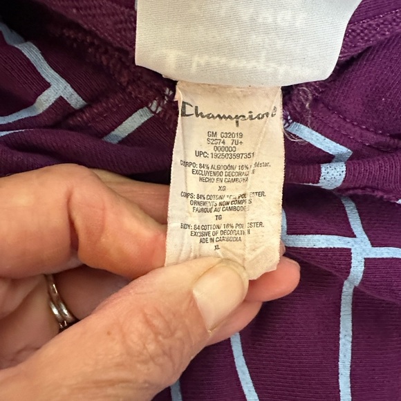 Champion Hoodie in Bold Purple and Blue - Picture 10 of 10